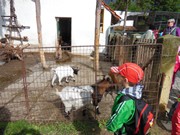 Výlet do ZOO Chleby a Labyrintária Loučeň